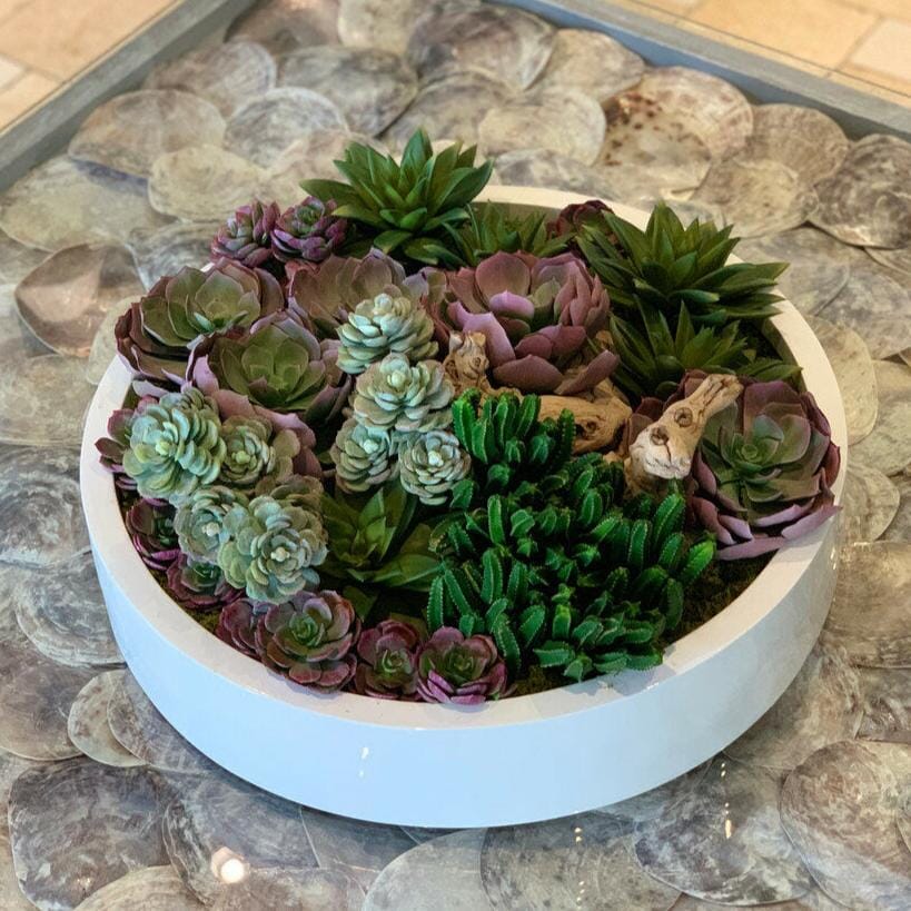 Max bowl with assorted artificial succulents