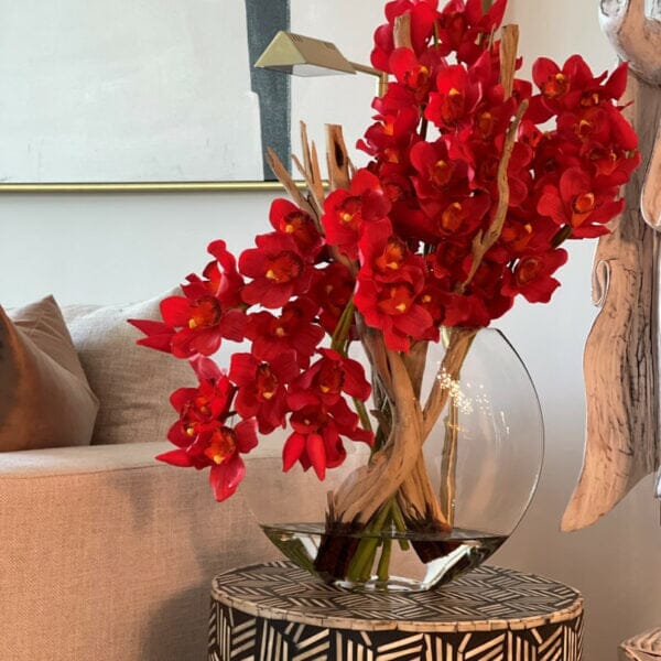 Red Cymbidium Orchids in Moon Planter