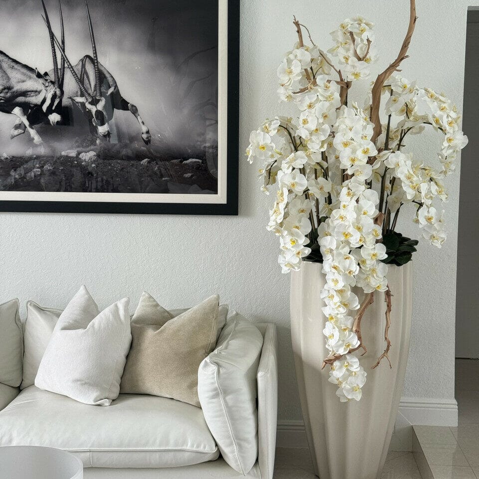 San Jose Beige Sand Vase with White Orchids in Cascade