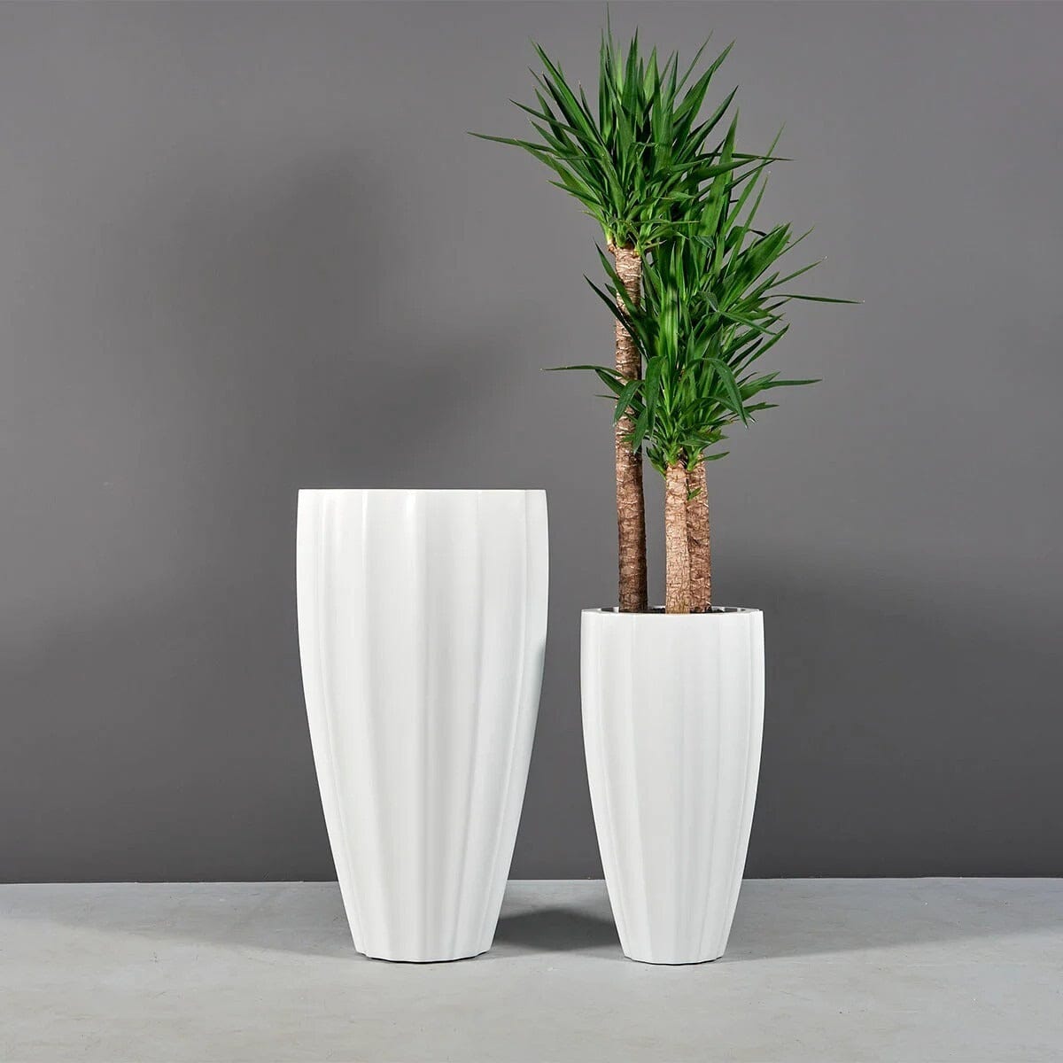 San Jose Ribbed Planter