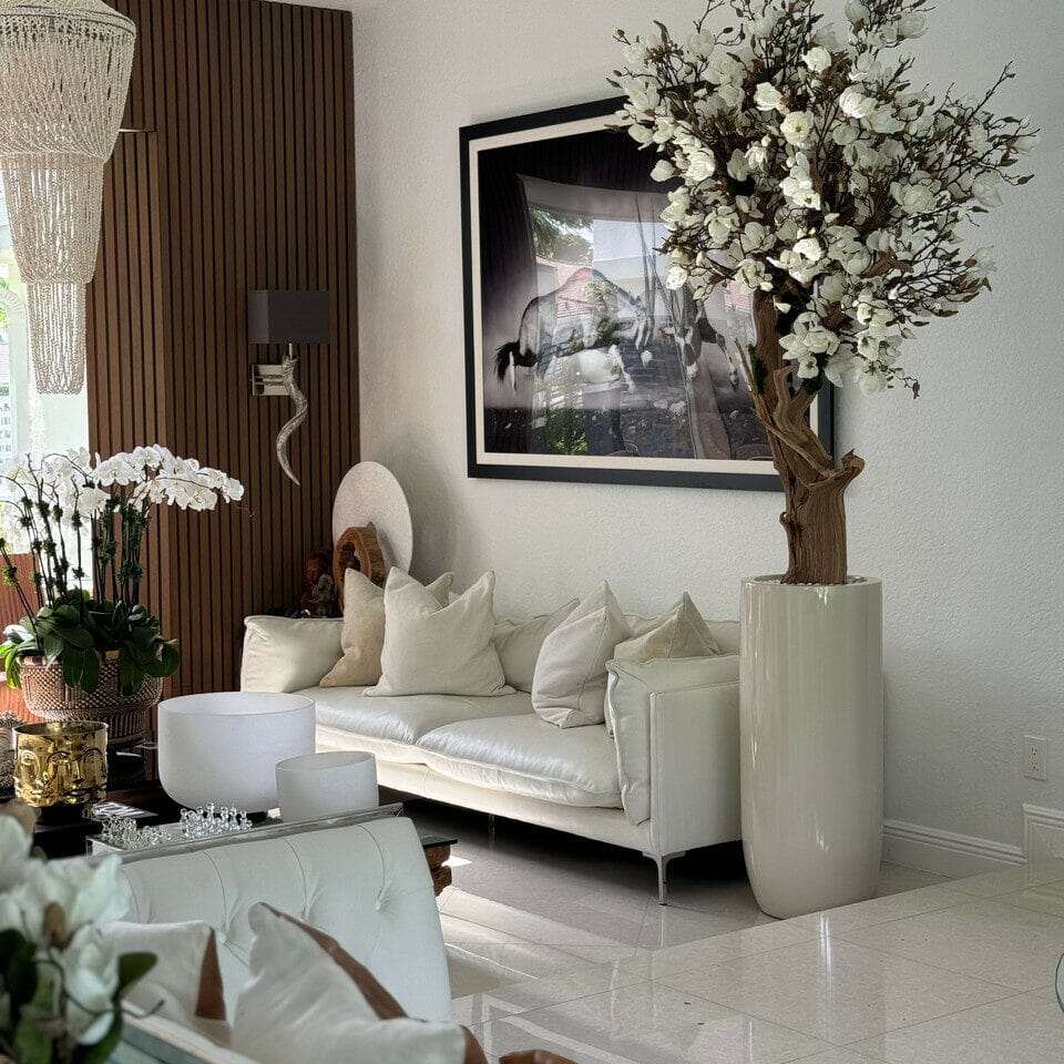 White Magnolia Tree in Pot St. Tropez Bright Beige