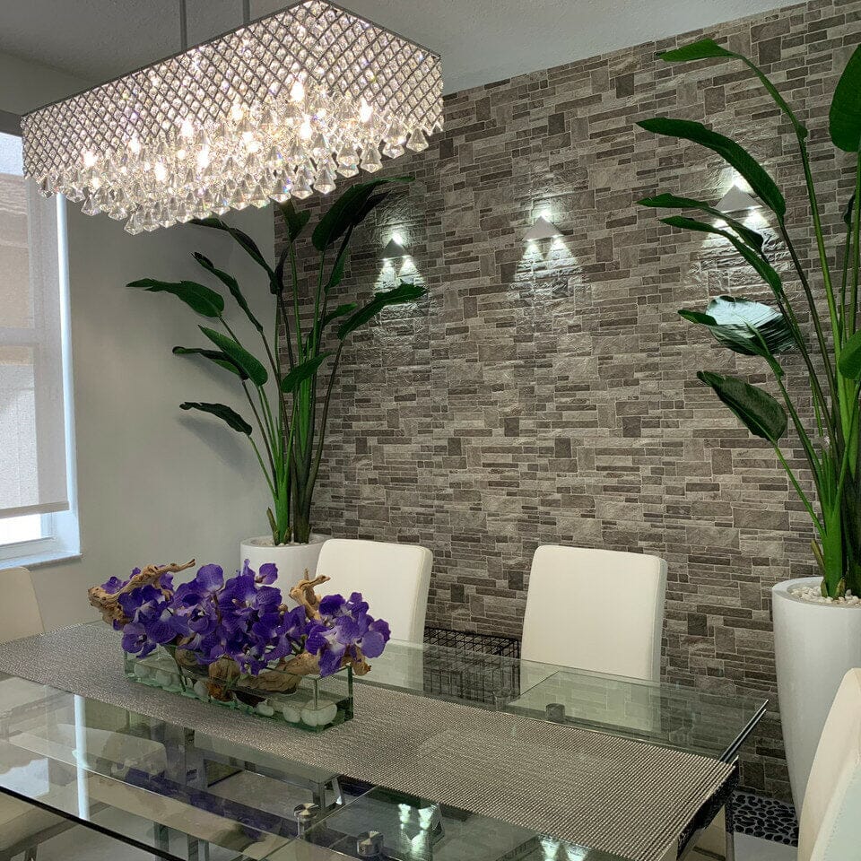 Bird of Paradise Plant 7 Feet with Dax Pot L