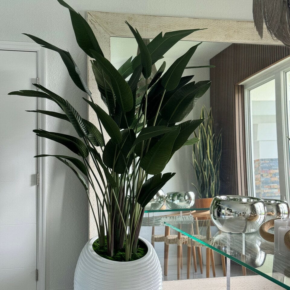 Bird of Paradise Plant in White Spiral Vase