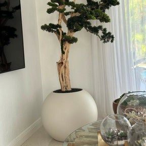 Bonsai Trail in Satin Beige Globe 30"