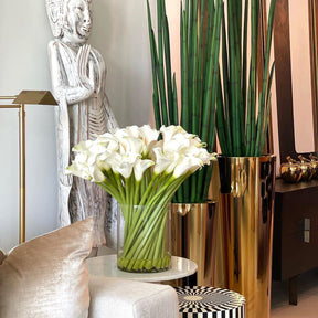 Calla Lilies in Glass Cylinder 10″