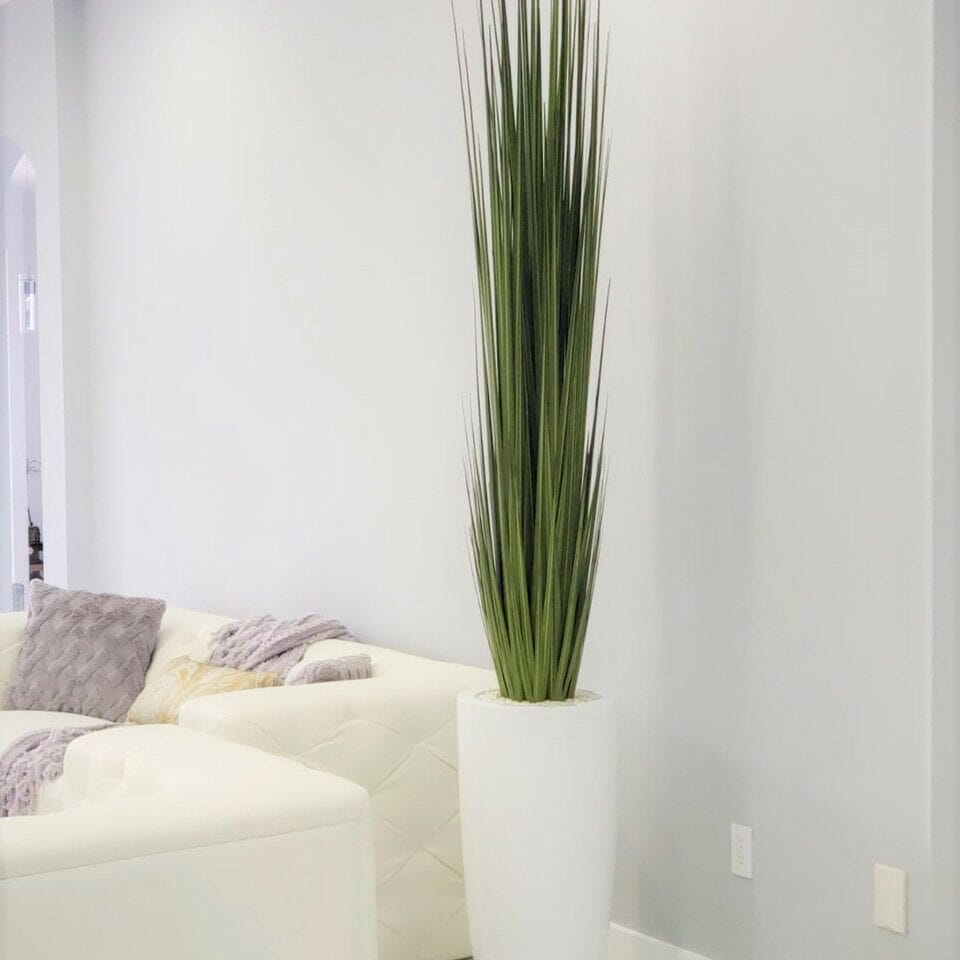 Dax Vase (Size L) with Reed Grass