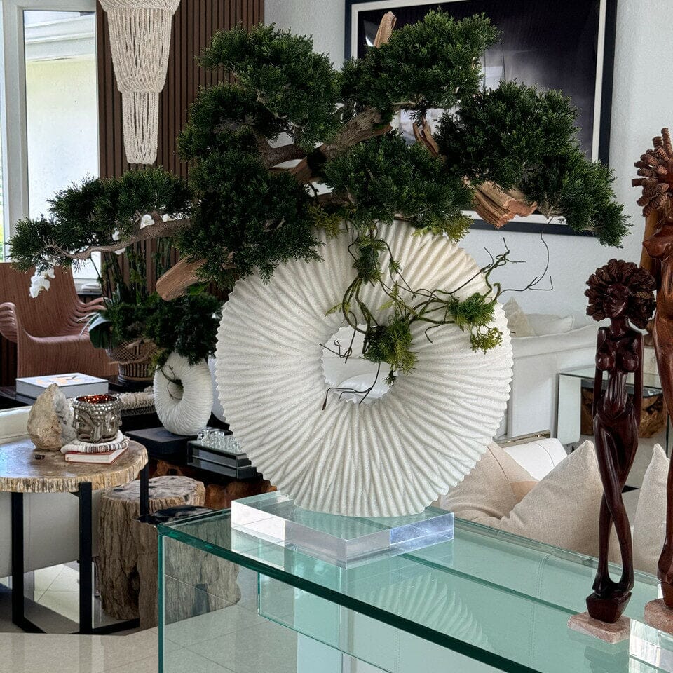 Large Eternity Vase with Hanging Bonsai and Floating Wood