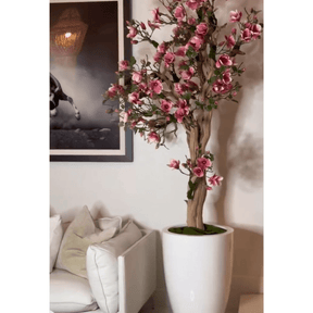 Pink Magnolia Tree in Pot St. Tr. Bright White Release