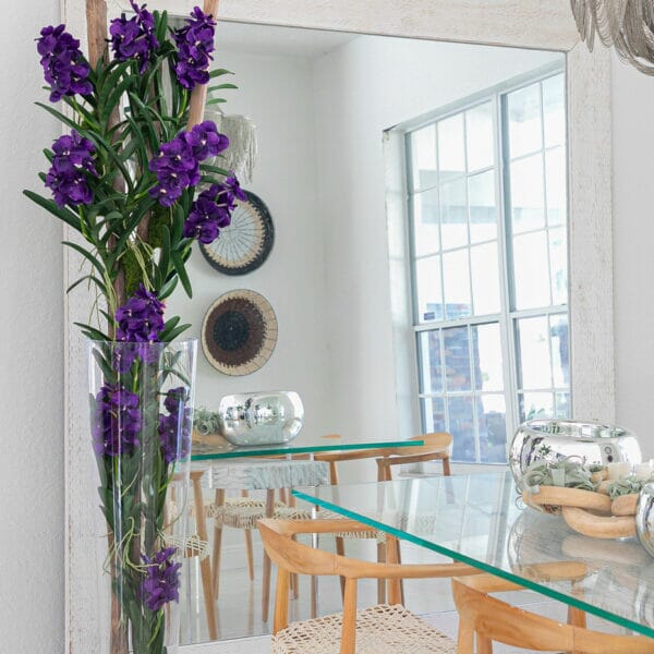 Purple Vanda Orchids and Driftwood Inside a Conical Glass Cylinder
