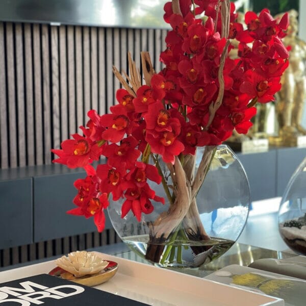 Red Cymbidium Orchids in Moon Planter