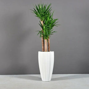 San Jose Ribbed Planter