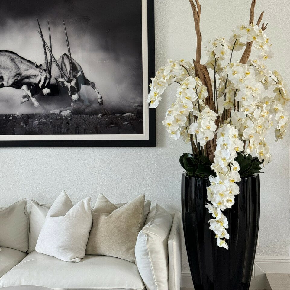 San Jose Vase in glossy black with hanging yellow orchids