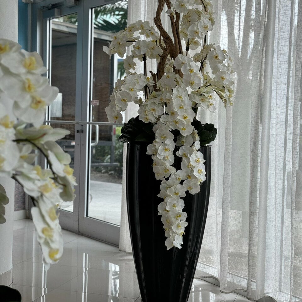 Shiny Black San Jose Vase with Cascading White Orchids