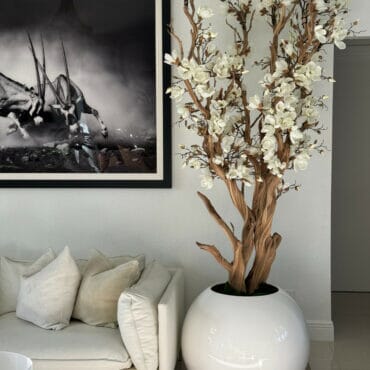 White Magnolia Tree in Glossy White Globe Pot, 76 cm
