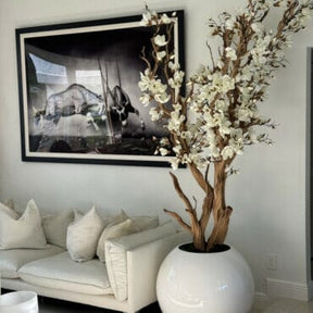 White Magnolia Tree in Glossy White Globe Pot, 76 cm