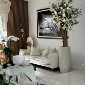 White Magnolia Tree in Pot St. Tropez Bright Beige