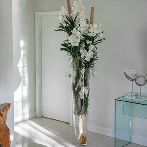 White Vanda Orchids with Driftwood in a Large Conical Glass Cylinder